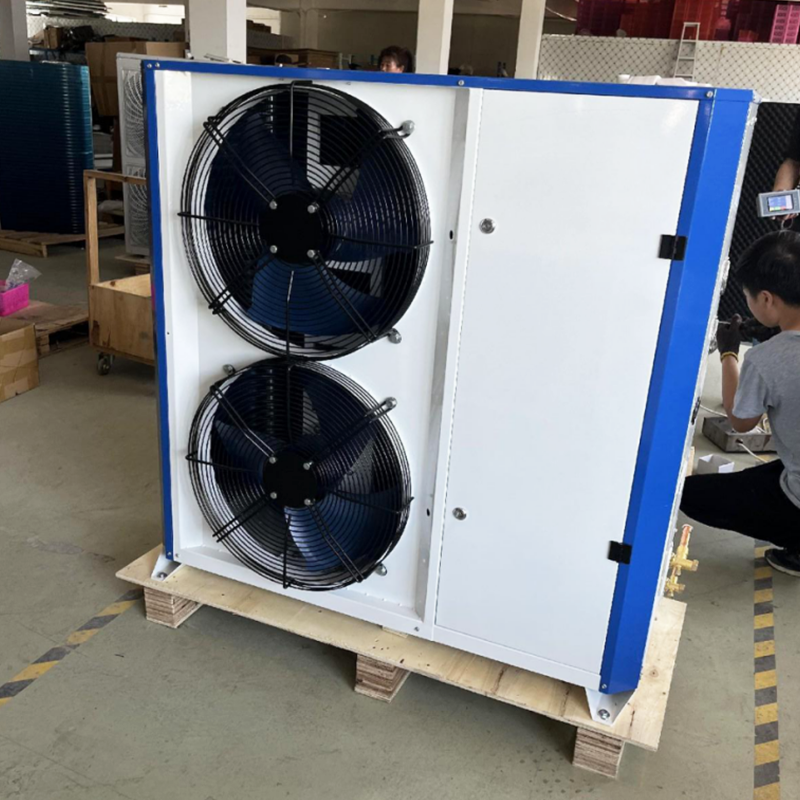 Inverter Low-temperatus R290/R404A Condensing Unit